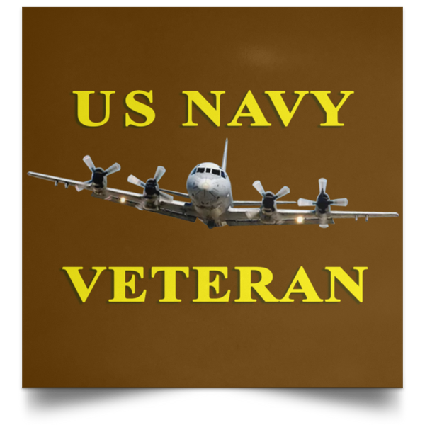 Navy Vet 2 Poster - Square