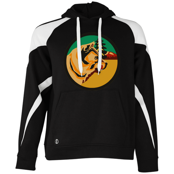 VP 03 1 Athletic Colorblock Fleece Hoodie