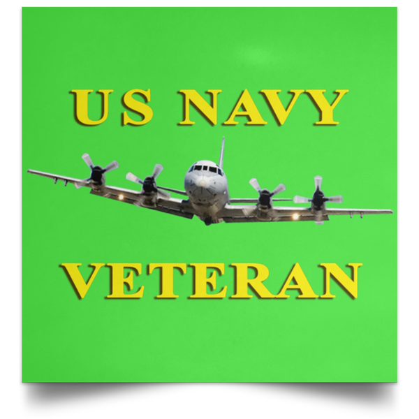 Navy Vet 2 Poster - Square