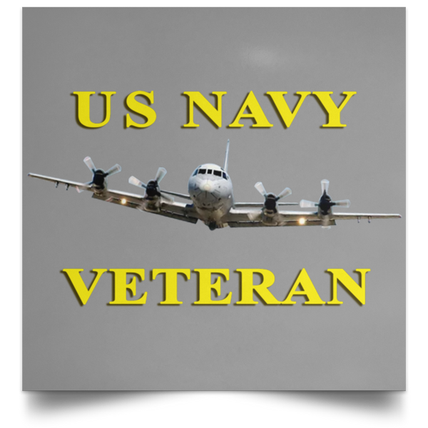 Navy Vet 2 Poster - Square