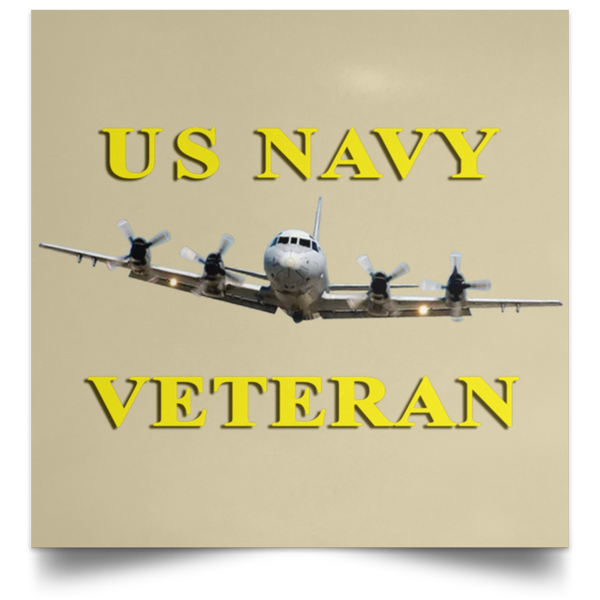 Navy Vet 2 Poster - Square