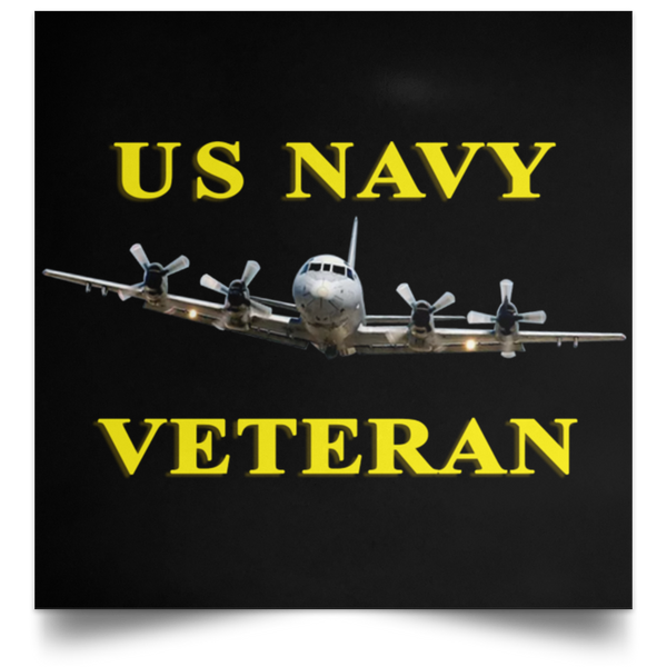 Navy Vet 2 Poster - Square