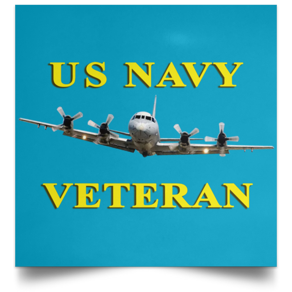 Navy Vet 2 Poster - Square