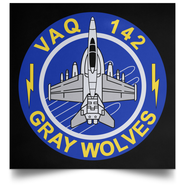 VAQ 142 5 Poster - Square