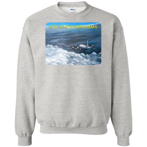 Eye To Eye With Irma Crewneck Pullover Sweatshirt