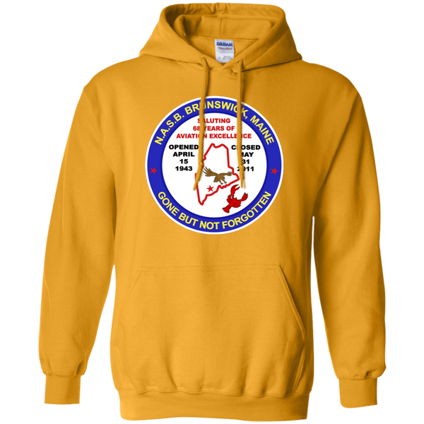 NASB Reunion 2018 Pullover Hoodie