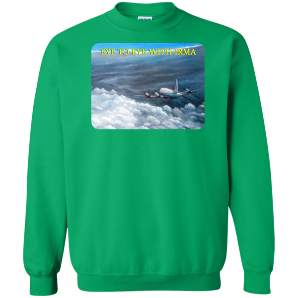 Eye To Eye With Irma Crewneck Pullover Sweatshirt