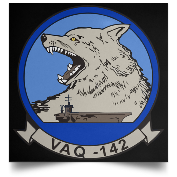 VAQ 142 1 Poster - Square