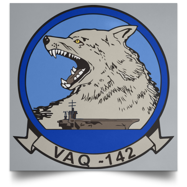 VAQ 142 1 Poster - Square