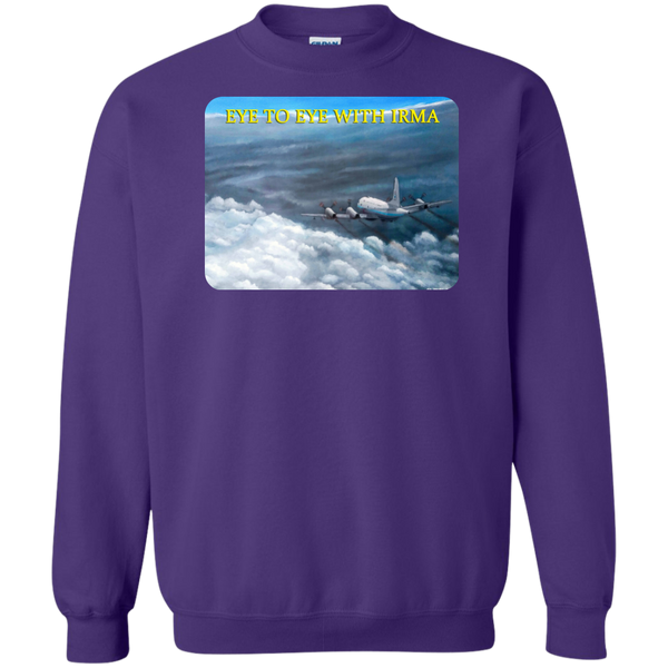 Eye To Eye With Irma Crewneck Pullover Sweatshirt