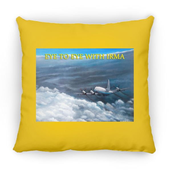 Eye To Eye With Irma 1 Pillow - Square - 18x18