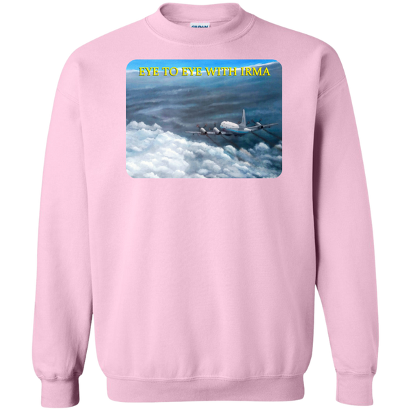 Eye To Eye With Irma Crewneck Pullover Sweatshirt