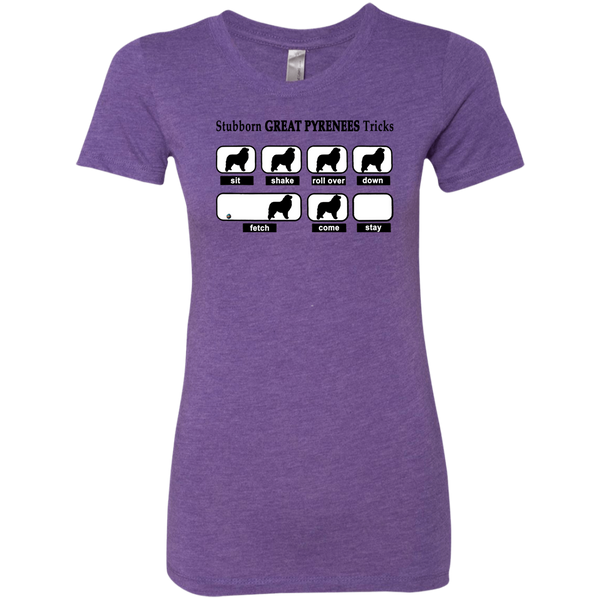 GP Tricks 2 Ladies' Triblend T-Shirt