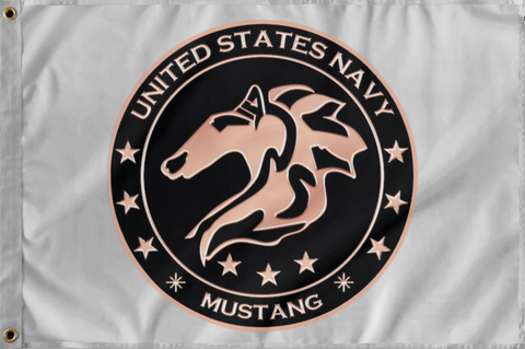 Mustang 2 Flag