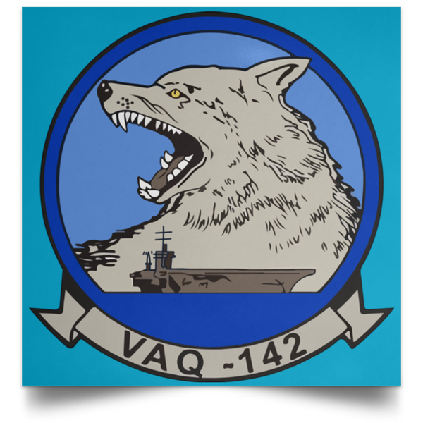 VAQ 142 1 Poster - Square