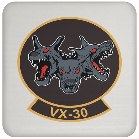 VX 30 Coaster