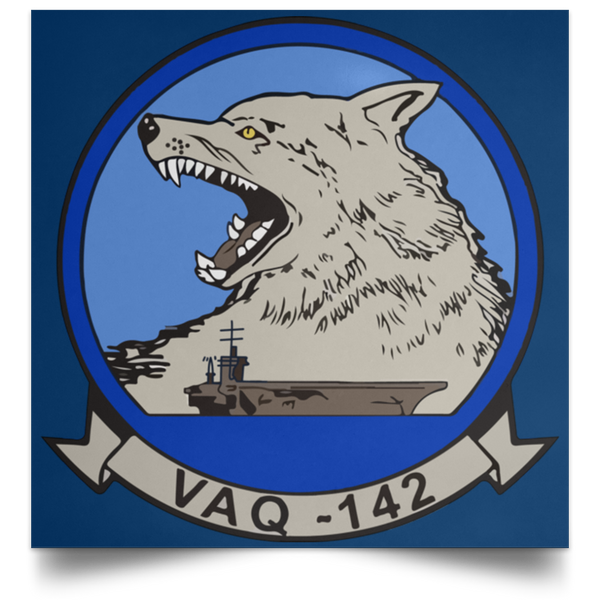 VAQ 142 1 Poster - Square